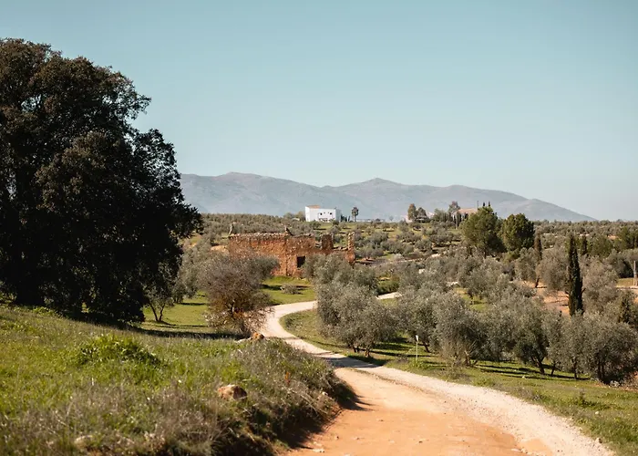 Finca Las Calmas Adults Only Boutique Retreat & Dining Experience